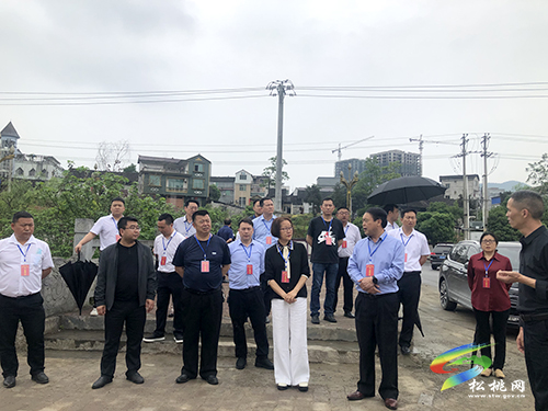 松桃人大常委會視察新型城鎮(zhèn)化推進情況并召開座談會