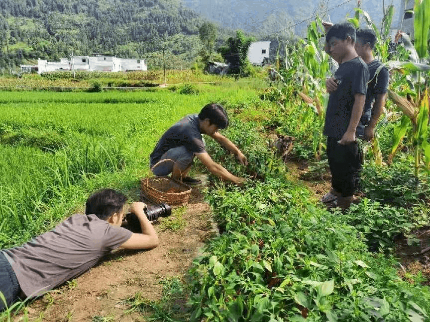 【網(wǎng)信貴州 E企前行】奮進新征程 譜寫新篇章：省第十三次黨代會在貴州互聯(lián)網(wǎng)行業(yè)引發(fā)熱烈反響（3）