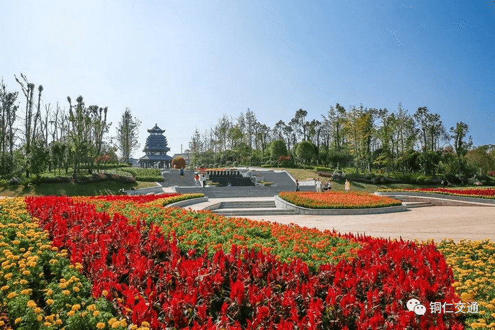 最美風(fēng)景在路上！沿著“醉美高速”去旅行