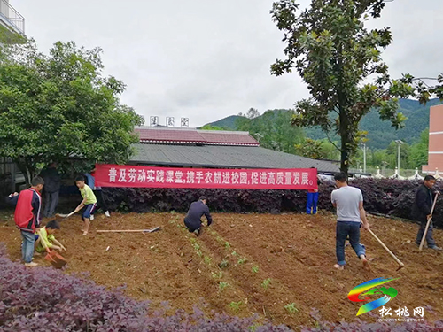 普覺鎮(zhèn)大同完小開展勞動實踐課活動