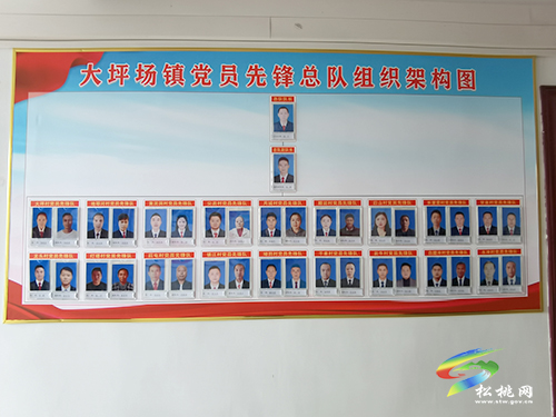 松桃“四規(guī)范”推動(dòng)黨員先鋒隊(duì)作用發(fā)揮