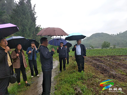 民革銅仁市委到松桃大路鎮(zhèn)桂芽村走訪(fǎng)調(diào)研