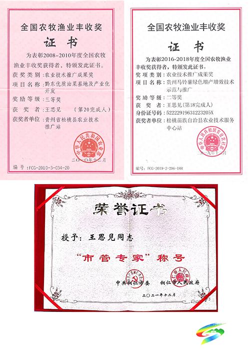 【松桃才俊展風(fēng)采】暢游在田間地頭的追夢(mèng)人——記市管專(zhuān)家王思見(jiàn)