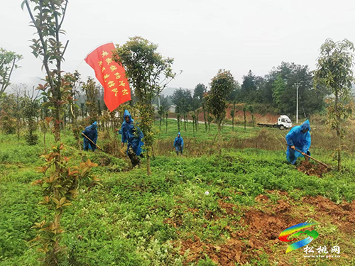 黃板鎮(zhèn)：抓黨建　持續(xù)深化黨員先鋒隊建設(shè)