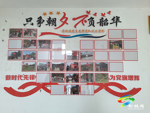 黃板鎮(zhèn)：抓黨建　持續(xù)深化黨員先鋒隊建設(shè)