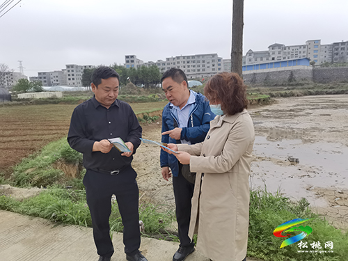 【松桃才俊展風(fēng)采】苗鄉(xiāng)的“沃土”尖兵——記松桃縣管專家石喬龍