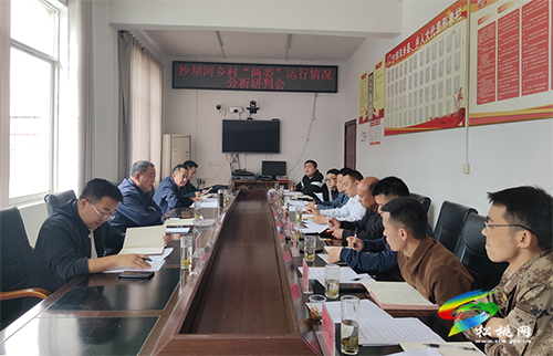張德沛到沙壩河鄉(xiāng)調研新一屆村“兩委”班子運行履職情況