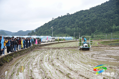 松桃舉辦2022年水稻機(jī)械化插秧技術(shù)培訓(xùn)