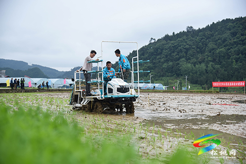 松桃舉辦2022年水稻機(jī)械化插秧技術(shù)培訓(xùn)