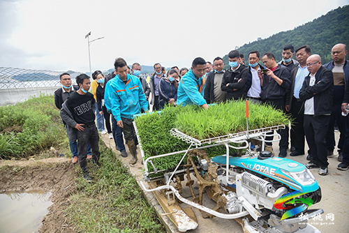 松桃舉辦2022年水稻機(jī)械化插秧技術(shù)培訓(xùn)