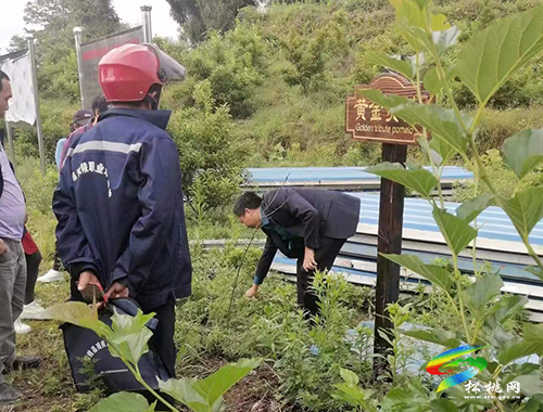 松桃2022年度農(nóng)村困難殘疾人實(shí)用技術(shù)培訓(xùn)圓滿(mǎn)結(jié)束
