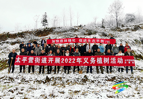 太平營街道：繪太平“畫”卷，開啟鄉(xiāng)村振興新篇章
