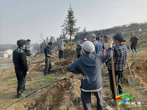 太平營街道：繪太平“畫”卷，開啟鄉(xiāng)村振興新篇章