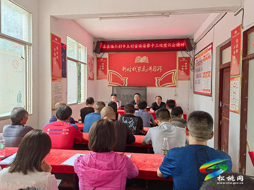 【貫徹黨代會　喜迎二十大】縣委編辦到平土村開展學(xué)習(xí)貫徹省第十三次黨代會精神專題宣講暨支部聯(lián)建活動