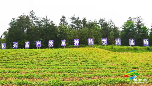 農(nóng)業(yè)富鎮(zhèn)、工業(yè)強(qiáng)鎮(zhèn)、文化興鎮(zhèn)——長興堡鎮(zhèn)著力推動(dòng)“四新”促“四化”工作