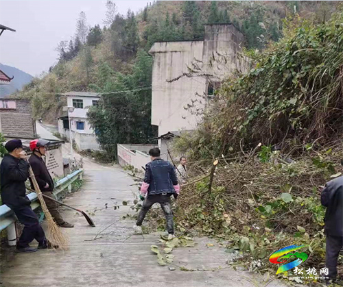盤信鎮(zhèn)安塘村：堅(jiān)持黨建引領(lǐng)，架起“黨群”連心橋