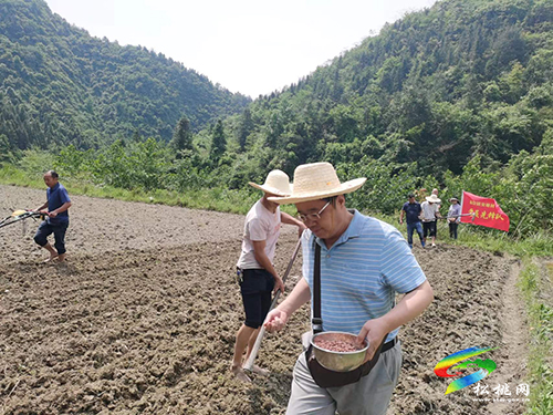 盤信鎮(zhèn)安塘村：堅(jiān)持黨建引領(lǐng)，架起“黨群”連心橋