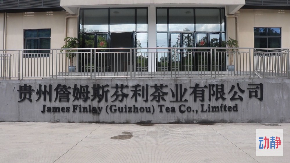 動(dòng)靜深度丨黔茶出口“量?jī)r(jià)齊升”背后的密碼