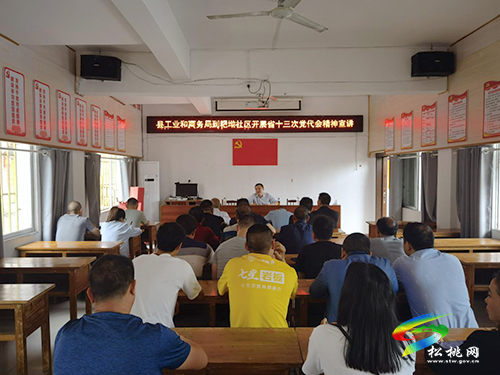 【貫徹黨代會　喜迎二十大】松桃工業(yè)和商務(wù)局到粑坳村開展省第十三次黨代會精神宣講活動
