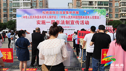 松桃集中開展《中華人民共和國未成年人保護(hù)法》《中華人民共和國預(yù)防未成年人犯罪法》實(shí)施一周年法制宣傳活動(dòng)