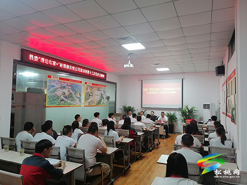 縣委“理論專家+”赴德康農(nóng)牧公司宣講省第十三次黨代會(huì)精神