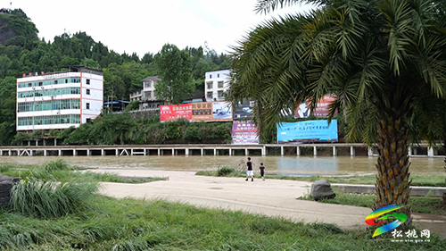 蓼皋街道：聚群力清淤　共“扮”美麗家園