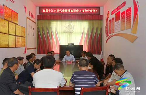 【貫徹黨代會(huì)　喜迎二十大】縣委統(tǒng)戰(zhàn)部到盤(pán)信鎮(zhèn)樓臺(tái)村宣講省第十三次黨代會(huì)精神