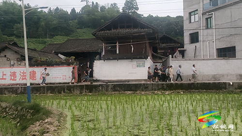 沙壩河鄉(xiāng)王普村自導自演地質災害演練微電影
