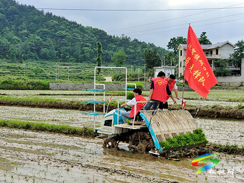 松桃：黨建引領(lǐng)促振興  幸福村景入畫來