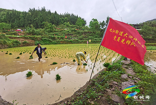 松桃：黨建引領(lǐng)促振興  幸福村景入畫來