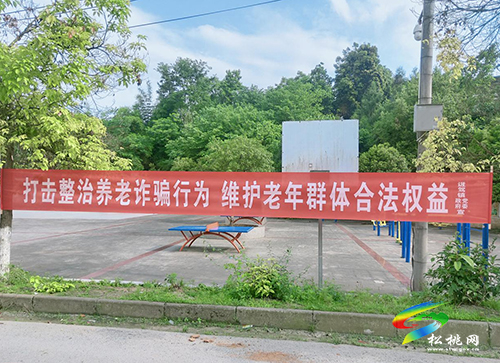 迓駕鎮(zhèn)：“三隊”出“三招”，密織反詐“宣傳網”