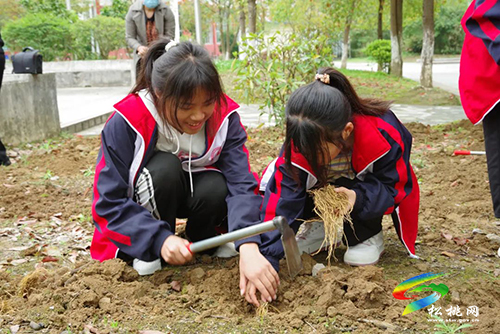 松桃民族中醫(yī)院：“六個強化”，助推醫(yī)院業(yè)務(wù)與黨建高質(zhì)量發(fā)展