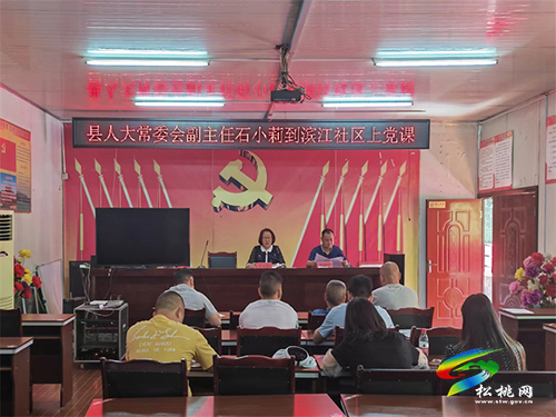 石小莉到濱江社區(qū)第十網(wǎng)格調(diào)研并上黨課