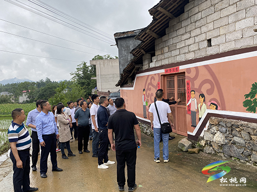 大坪場鎮(zhèn)組織開展6月份重點工作現(xiàn)場觀摩學習活動