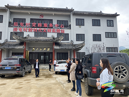 大坪場鎮(zhèn)組織開展6月份重點工作現(xiàn)場觀摩學習活動