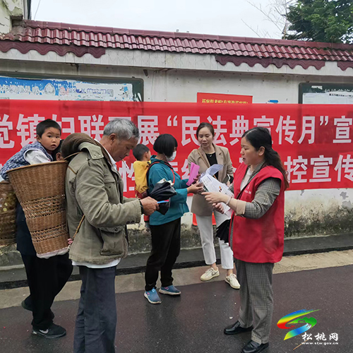 松桃婦聯“五個強化”助推“四安家園”建設