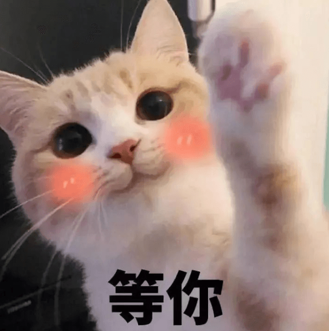 令人難以置信的美麗！華春瑩點(diǎn)贊梵凈山