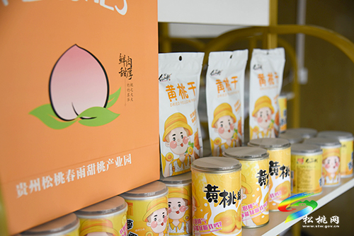 “桃”醉整個(gè)夏天，烏羅鎮(zhèn)的500畝桃子逐漸成熟