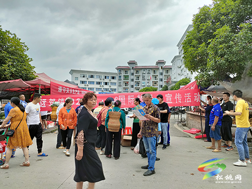 迓駕鎮(zhèn)開展國際禁毒日宣傳活動