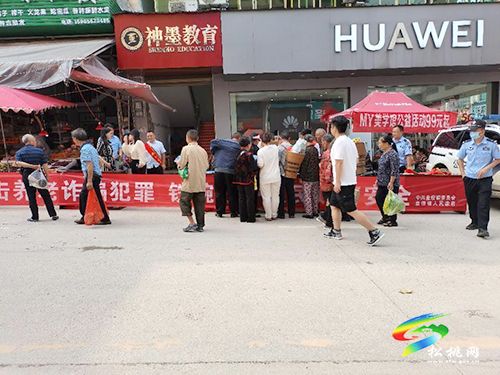 盤信鎮(zhèn)：開(kāi)展打擊整治養(yǎng)老詐騙系列宣傳活動(dòng)