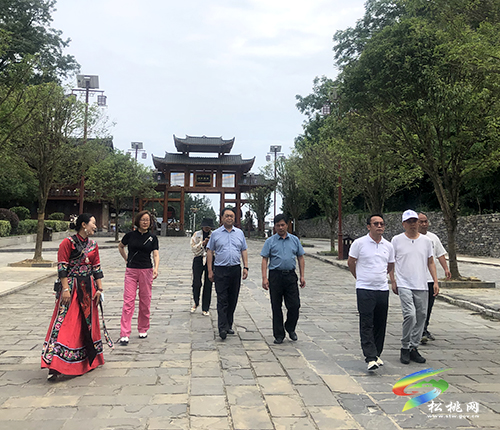 屏邊縣考察團到松桃考察學習文旅融合發(fā)展工作