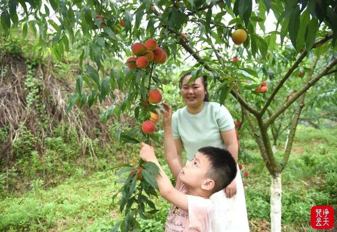 “錳都”新顏——銅仁深入推進(jìn)錳污染高標(biāo)準(zhǔn)治理和錳產(chǎn)業(yè)高質(zhì)量發(fā)展