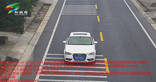 【文明曝光】曝光車輛及駕駛?cè)诉`停等違法、違規(guī)行為