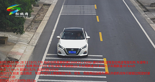 【文明曝光】曝光車輛及駕駛?cè)诉`停等違法、違規(guī)行為