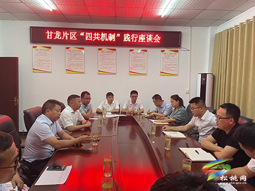 ​甘龍片區(qū)開展“四共”機制踐行既2022年機關(guān)支部“七一”聯(lián)誼活動