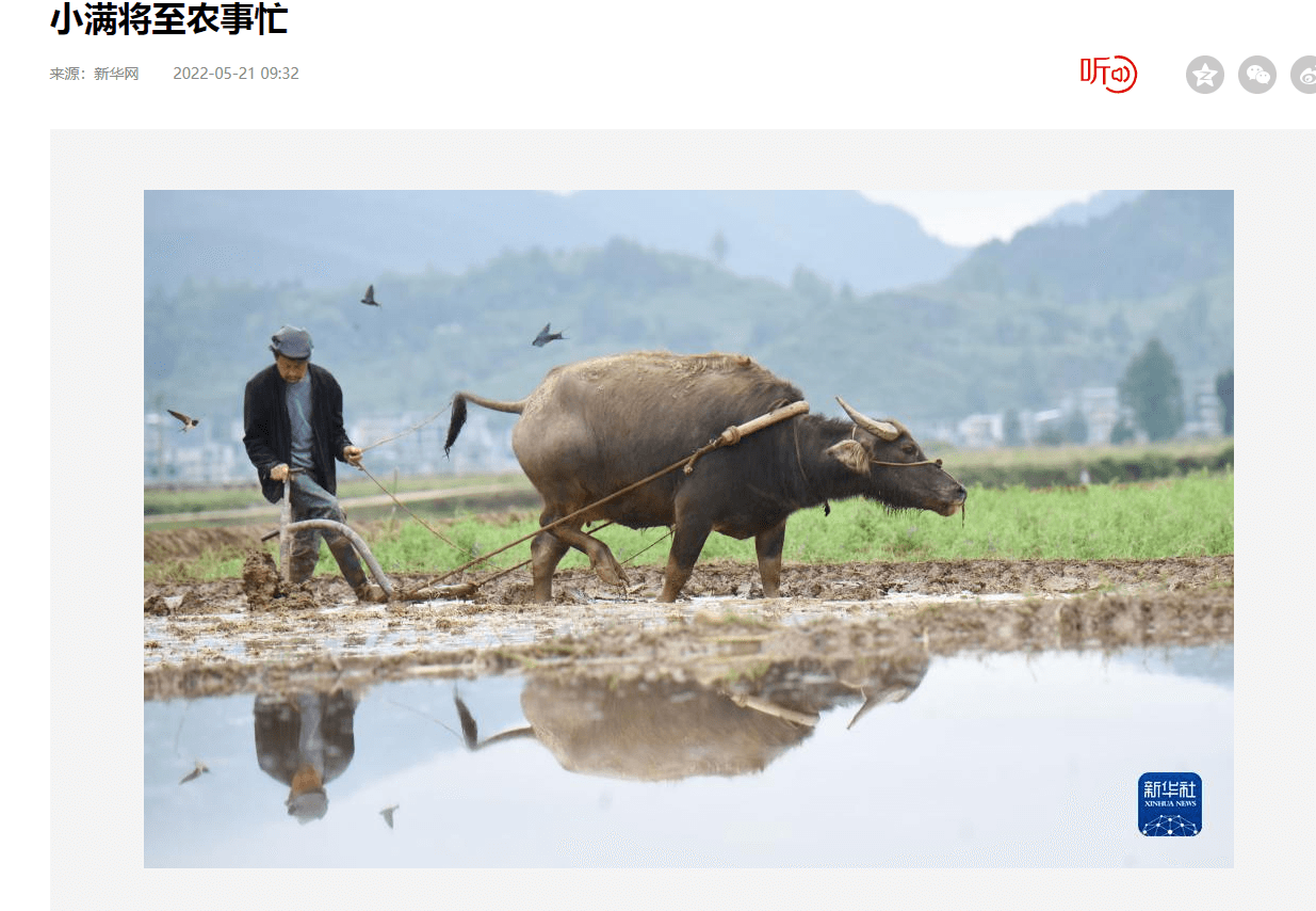 外媒看松桃|新鮮出爐！松桃上半年外宣成績(jī)單來(lái)啦！