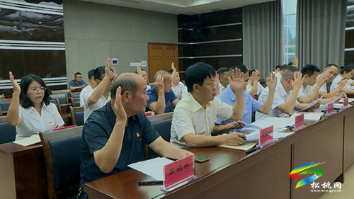 中國(guó)共產(chǎn)黨松桃苗族自治縣委辦公室總支部委員會(huì)換屆選舉大會(huì)召開