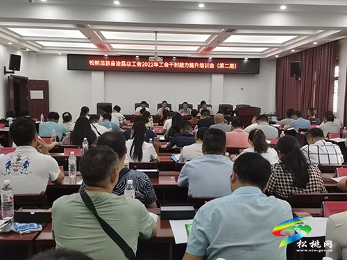 松桃苗族自治縣總工會(huì)開展2022年工會(huì)干部能力提升培訓(xùn)會(huì)（第二期）