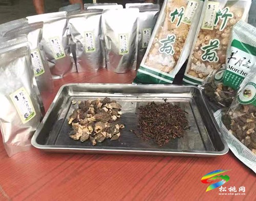 董汝村：專家來助力  產(chǎn)業(yè)發(fā)展有保障