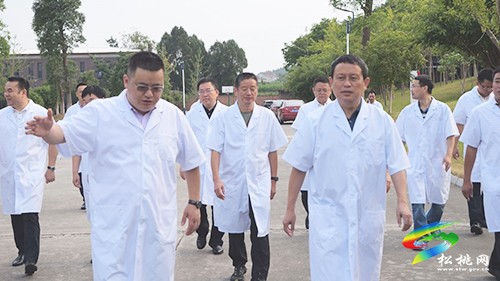 龍群躍率團(tuán)赴福州、綿陽招商引資
